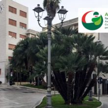 ADICONSUM: UN PIANO RIFIUTI PER BRINDISI COME SFIDA ECOLOGICA E SOPRATTUTTO CULTURALE